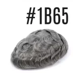 #1B65