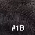 #1B
