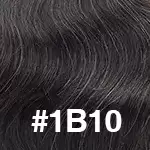 #1B10