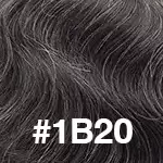 #1B20