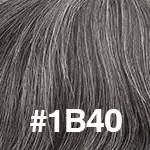 #1B40