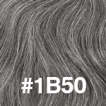 #1B50