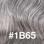 #1B65