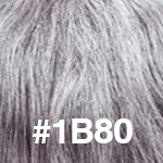 #1B80