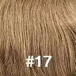 #17