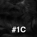 #1C